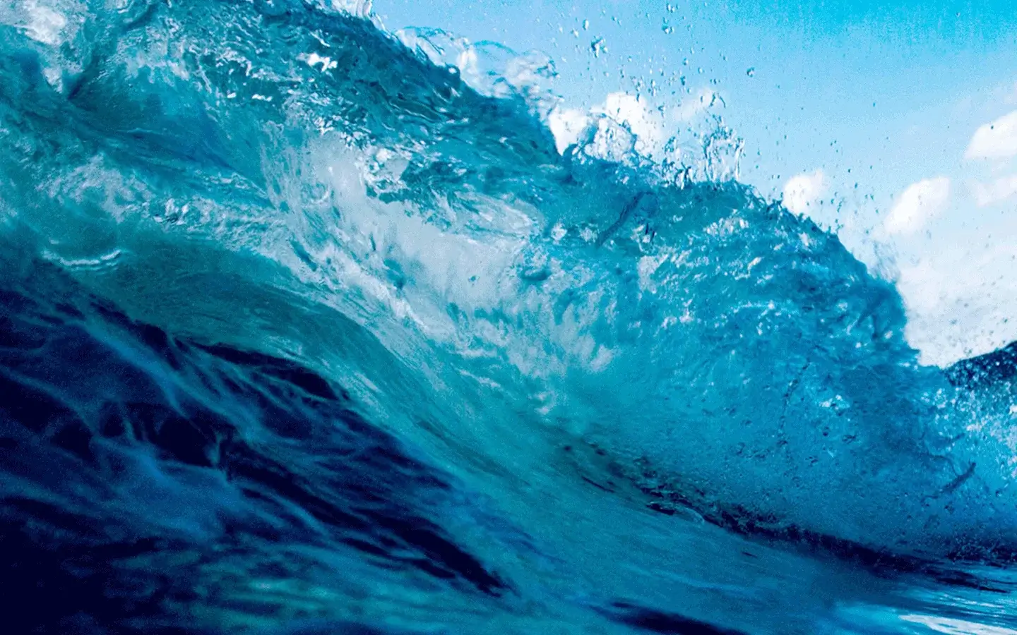 SurfCleaner saves water environments